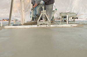 Floor Screeders Wellington (01823)